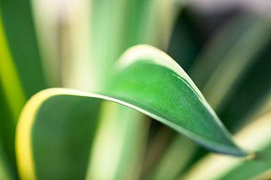 《战地6》首轮B测后Steam预购超60万 愿望单超270万